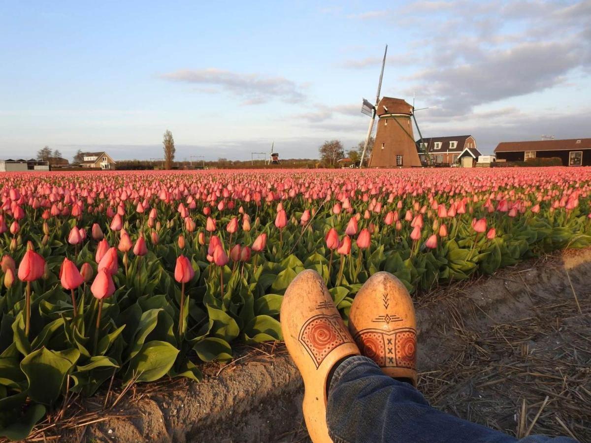 Bed And Breakfast Geliefd Voorhout Exterior foto